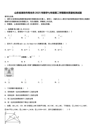 山东省潍坊市寿光市2025年数学七年级第二学期期末质量检测试题含解析