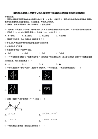 山东单县北城三中联考2025届数学七年级第二学期期末综合测试试题含解析