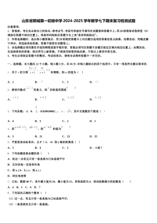 山东省郓城第一初级中学2024-2025学年数学七下期末复习检测试题含解析