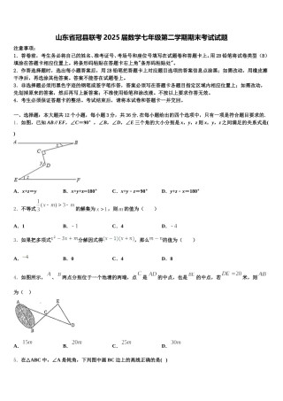山东省冠县联考2025届数学七年级第二学期期末考试试题含解析