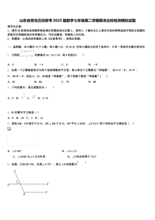 山东省青岛五校联考2025届数学七年级第二学期期末达标检测模拟试题含解析