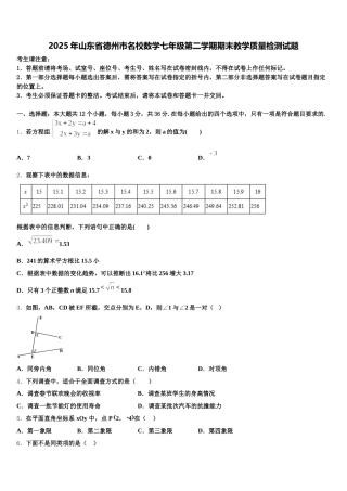 2025年山东省德州市名校数学七年级第二学期期末教学质量检测试题含解析