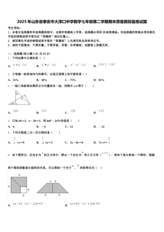 2025年山东省泰安市大津口中学数学七年级第二学期期末质量跟踪监视试题含解析