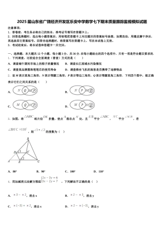 2025届山东省广饶经济开发区乐安中学数学七下期末质量跟踪监视模拟试题含解析