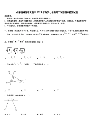 山东省威海市文登市2025年数学七年级第二学期期末检测试题含解析