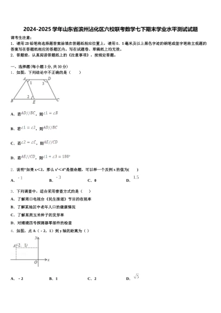 2024-2025学年山东省滨州沾化区六校联考数学七下期末学业水平测试试题含解析