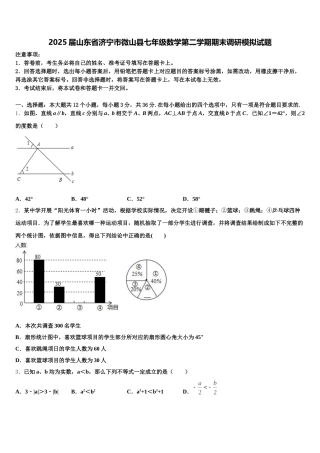 2025届山东省济宁市微山县七年级数学第二学期期末调研模拟试题含解析