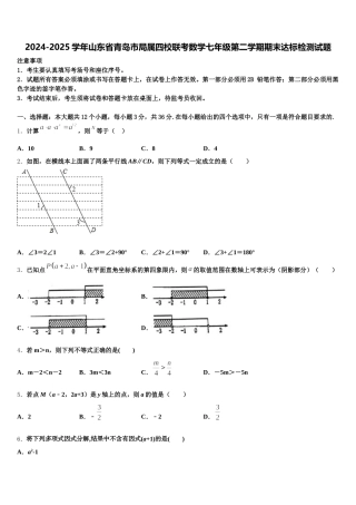 2024-2025学年山东省青岛市局属四校联考数学七年级第二学期期末达标检测试题含解析