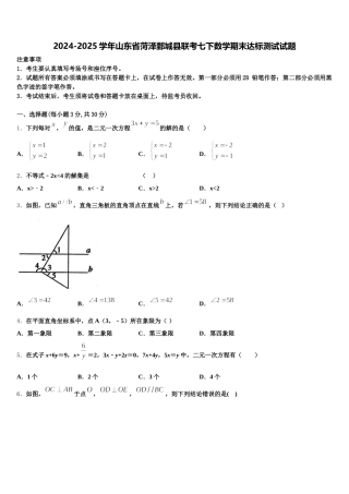 2024-2025学年山东省菏泽鄄城县联考七下数学期末达标测试试题含解析