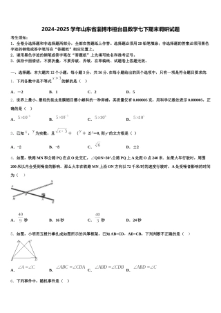 2024-2025学年山东省淄博市桓台县数学七下期末调研试题含解析