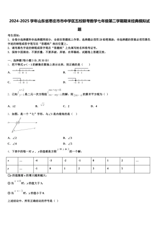 2024-2025学年山东省枣庄市市中学区五校联考数学七年级第二学期期末经典模拟试题含解析