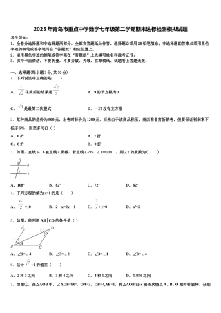 2025年青岛市重点中学数学七年级第二学期期末达标检测模拟试题含解析