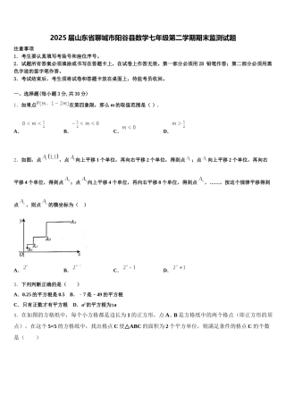2025届山东省聊城市阳谷县数学七年级第二学期期末监测试题含解析