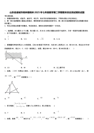 山东省诸城市桃林镇桃林2025年七年级数学第二学期期末综合测试模拟试题含解析