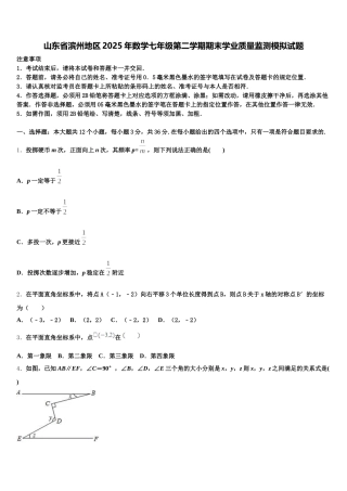 山东省滨州地区2025年数学七年级第二学期期末学业质量监测模拟试题含解析