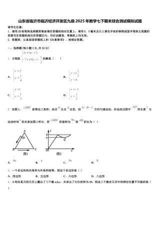 山东省临沂市临沂经济开发区九级2025年数学七下期末综合测试模拟试题含解析