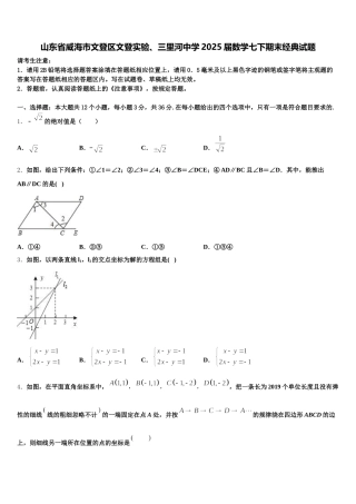 山东省威海市文登区文登实验、三里河中学2025届数学七下期末经典试题含解析