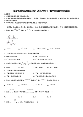 山东省潍坊市诸城市2024-2025学年七下数学期末联考模拟试题含解析