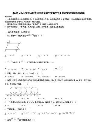 2024-2025学年山东省济南市实验中学数学七下期末学业质量监测试题含解析