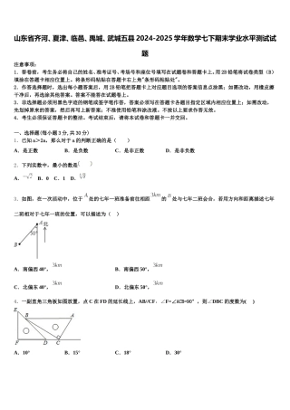 山东省齐河、夏津、临邑、禹城、武城五县2024-2025学年数学七下期末学业水平测试试题含解析