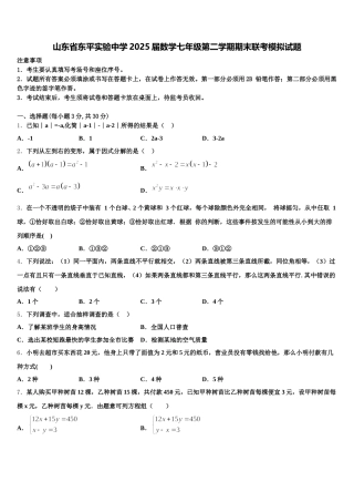 山东省东平实验中学2025届数学七年级第二学期期末联考模拟试题含解析