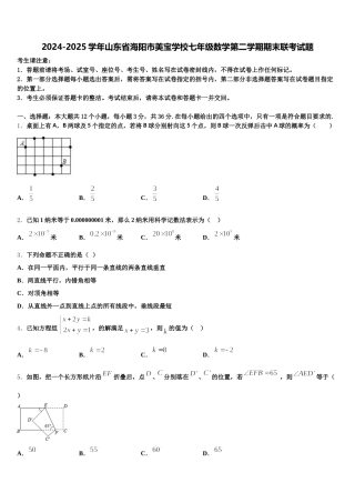 2024-2025学年山东省海阳市美宝学校七年级数学第二学期期末联考试题含解析