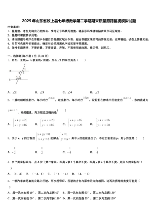 2025年山东省汶上县七年级数学第二学期期末质量跟踪监视模拟试题含解析