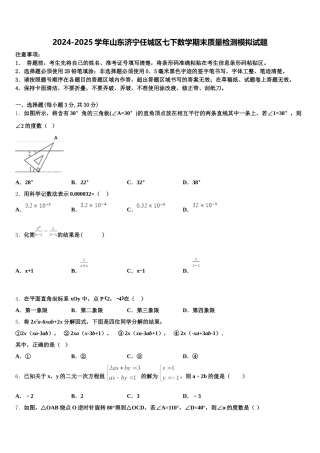 2024-2025学年山东济宁任城区七下数学期末质量检测模拟试题含解析