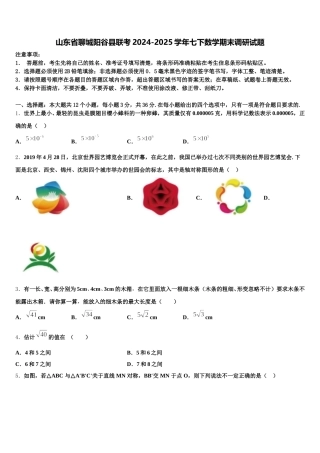山东省聊城阳谷县联考2024-2025学年七下数学期末调研试题含解析