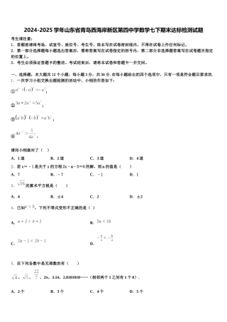 2024-2025学年山东省青岛西海岸新区第四中学数学七下期末达标检测试题含解析