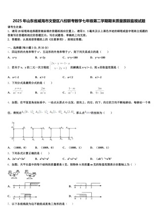 2025年山东省威海市文登区八校联考数学七年级第二学期期末质量跟踪监视试题含解析