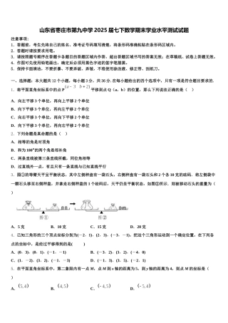 山东省枣庄市第九中学2025届七下数学期末学业水平测试试题含解析