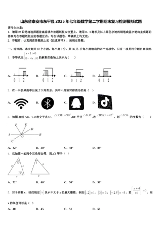山东省泰安市东平县2025年七年级数学第二学期期末复习检测模拟试题含解析