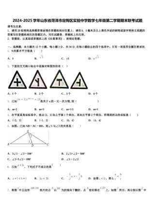 2024-2025学年山东省菏泽市定陶区实验中学数学七年级第二学期期末联考试题含解析