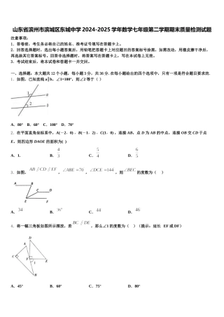 山东省滨州市滨城区东城中学2024-2025学年数学七年级第二学期期末质量检测试题含解析