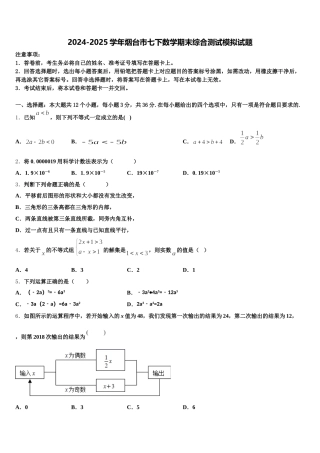 2024-2025学年烟台市七下数学期末综合测试模拟试题含解析