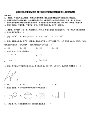 威海市重点中学2025届七年级数学第二学期期末经典模拟试题含解析