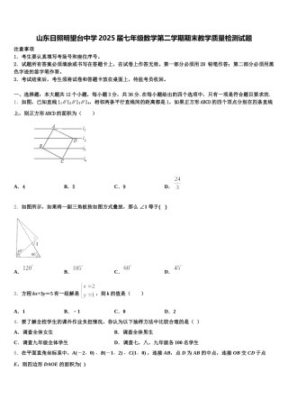 山东日照明望台中学2025届七年级数学第二学期期末教学质量检测试题含解析