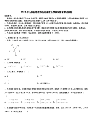 2025年山东省枣庄市台儿庄区七下数学期末考试试题含解析