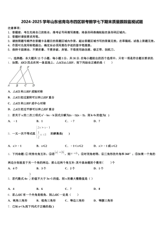 2024-2025学年山东省青岛市四区联考数学七下期末质量跟踪监视试题含解析