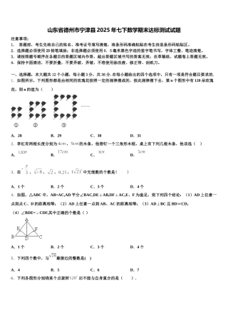 山东省德州市宁津县2025年七下数学期末达标测试试题含解析