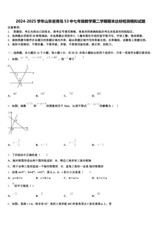2024-2025学年山东省青岛53中七年级数学第二学期期末达标检测模拟试题含解析