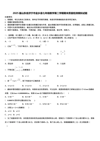 2025届山东省济宁市金乡县七年级数学第二学期期末质量检测模拟试题含解析