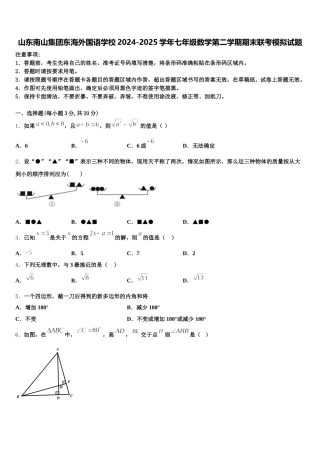 山东南山集团东海外国语学校2024-2025学年七年级数学第二学期期末联考模拟试题含解析