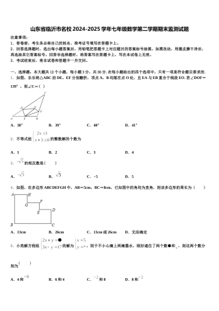 山东省临沂市名校2024-2025学年七年级数学第二学期期末监测试题含解析