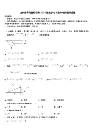 山东省青岛五校联考2025届数学七下期末考试模拟试题含解析