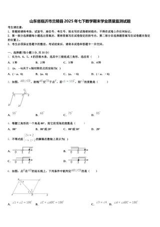 山东省临沂市兰陵县2025年七下数学期末学业质量监测试题含解析