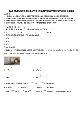 2025届山东省青岛市崂山三中学七年级数学第二学期期末学业水平测试试题含解析