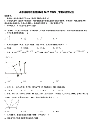 山东省青岛市集团校联考2025年数学七下期末监测试题含解析