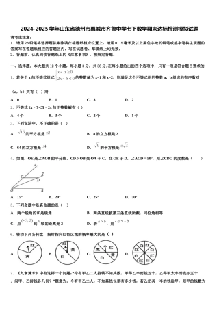 2024-2025学年山东省德州市禹城市齐鲁中学七下数学期末达标检测模拟试题含解析